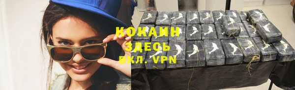 твердый Алзамай