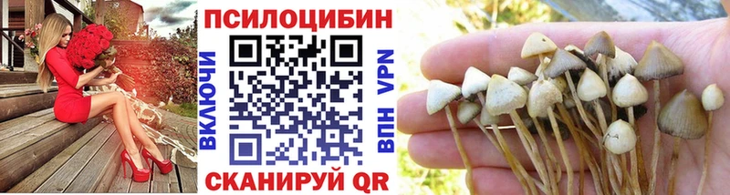 Галлюциногенные грибы GOLDEN TEACHER  Куровское 