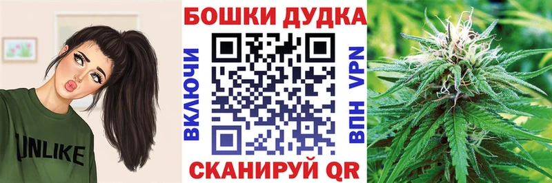 МАРИХУАНА сатива  Куровское 